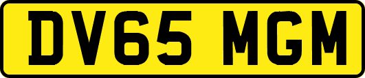 DV65MGM