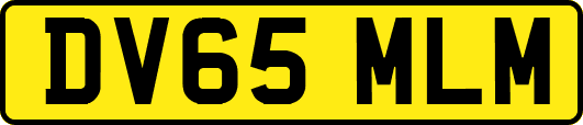 DV65MLM