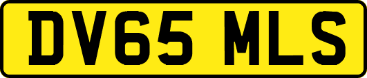 DV65MLS