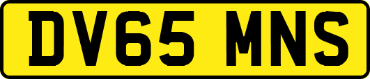 DV65MNS