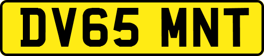 DV65MNT