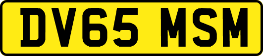DV65MSM