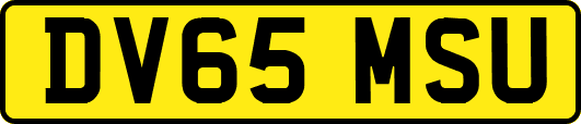 DV65MSU
