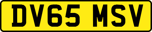 DV65MSV