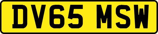 DV65MSW