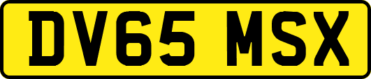 DV65MSX