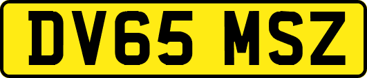 DV65MSZ