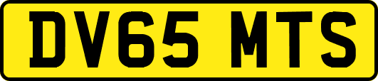 DV65MTS