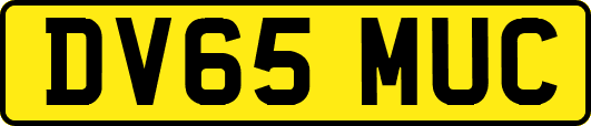 DV65MUC