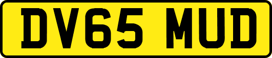 DV65MUD