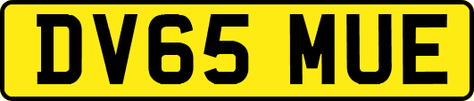 DV65MUE