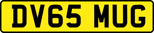 DV65MUG