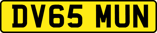 DV65MUN