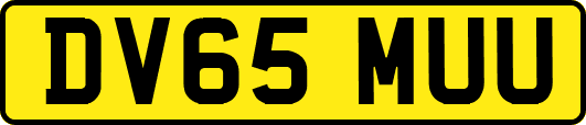 DV65MUU