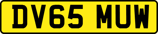 DV65MUW