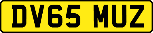 DV65MUZ