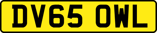 DV65OWL