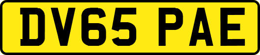 DV65PAE