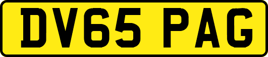 DV65PAG