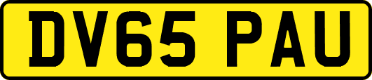 DV65PAU