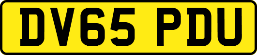 DV65PDU