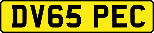 DV65PEC