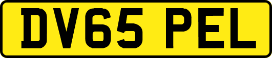 DV65PEL