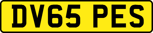 DV65PES