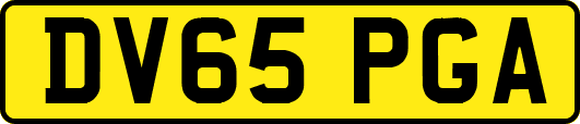 DV65PGA