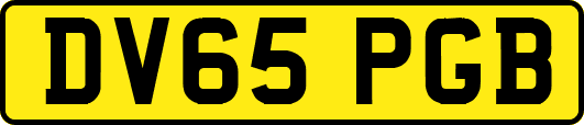 DV65PGB