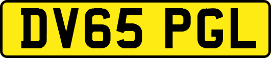 DV65PGL