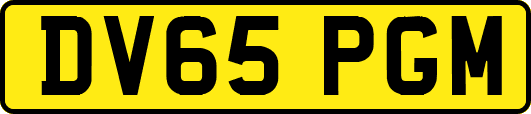 DV65PGM