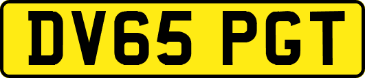 DV65PGT