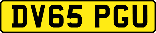 DV65PGU