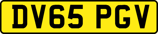 DV65PGV