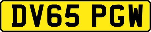 DV65PGW