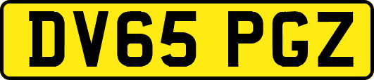 DV65PGZ