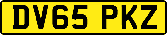 DV65PKZ
