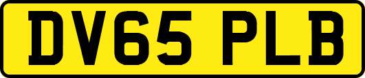 DV65PLB