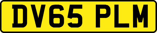 DV65PLM