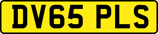 DV65PLS
