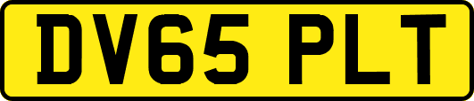 DV65PLT