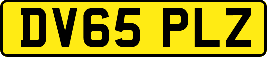 DV65PLZ