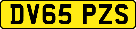DV65PZS