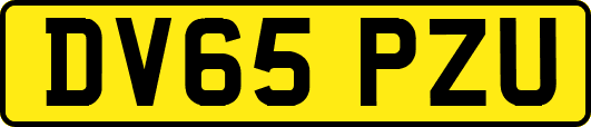DV65PZU