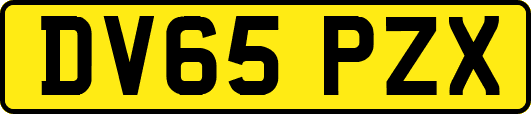 DV65PZX