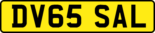 DV65SAL