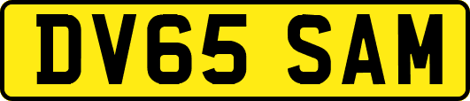 DV65SAM