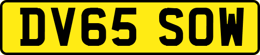 DV65SOW
