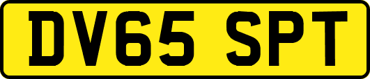 DV65SPT